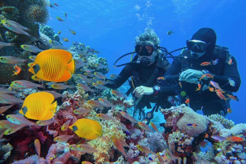 monde sous-marin baptême de plongée