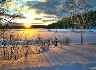 Le solstice d'hiver : à partir de quand les jours commencent-ils à rallonger