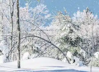 Le solstice d'hiver : quand les jours commencent-ils vraiment à rallonger ?