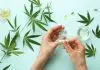 Pourquoi utiliser CBD