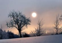 Solstice d'hiver : comprendre l'astronomie derrière le phénomène