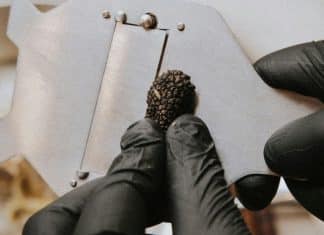Découvrez les atouts de la truffe noire