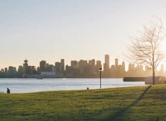 person sitting on grass lawn during sunset