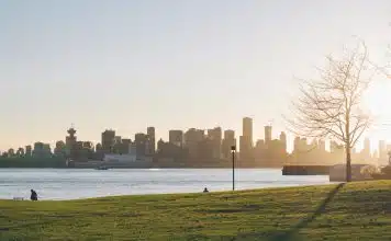 person sitting on grass lawn during sunset