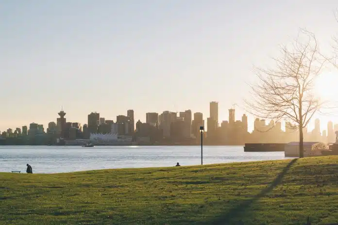 person sitting on grass lawn during sunset