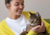 Pourquoi assurer son chat ? Avantages et bénéfices pour le maître et l’animal