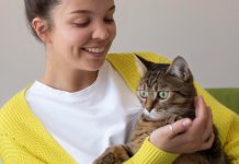 Pourquoi assurer son chat ? Avantages et bénéfices pour le maître et l’animal