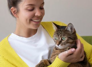 Pourquoi assurer son chat ? Avantages et bénéfices pour le maître et l’animal Pourquoi assurer son chat ? Avantages et bénéfices pour le maître et l’animal