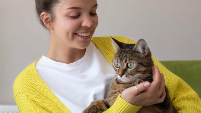 Pourquoi assurer son chat ? Avantages et bénéfices pour le maître et l’animal