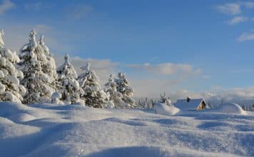 Traditions et célébrations autour du solstice d’hiver snow-covered trees under blue cloudy sky