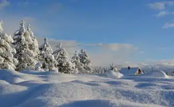 Traditions et célébrations autour du solstice d’hiver snow-covered trees under blue cloudy sky